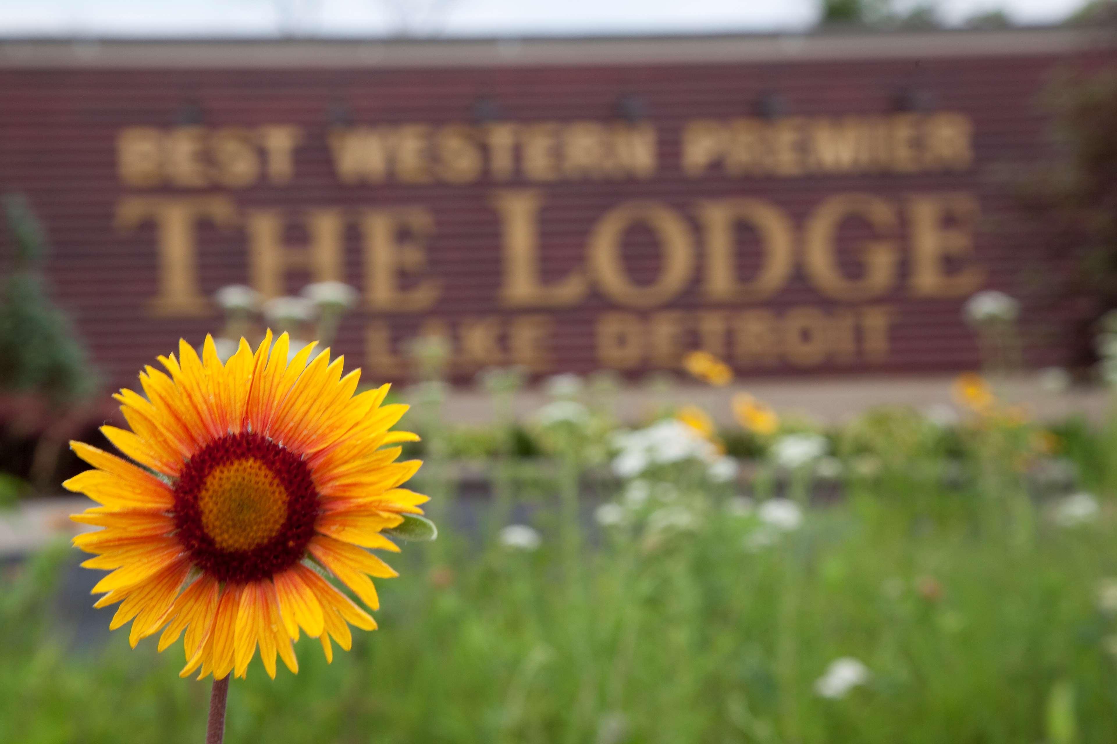 Best Western Premier The Lodge On Lake Detroit Detroit Lakes Esterno foto